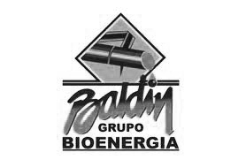 Baldin Bioenergia