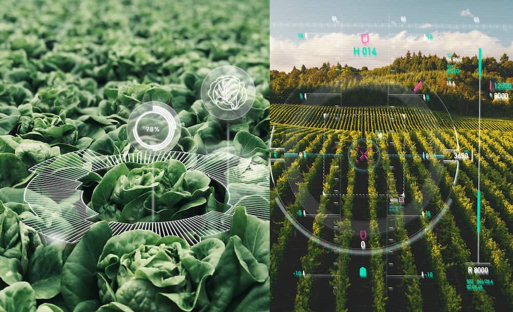 Impact of climate change on food production | LAYERS
